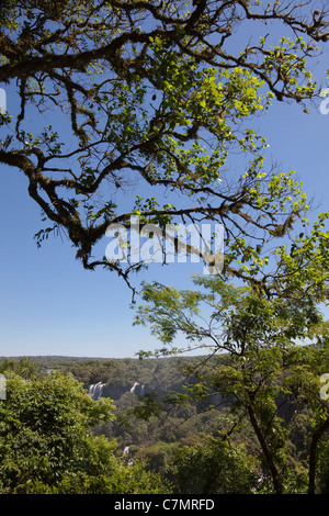 Iguaçu-Wasserfälle von der brasilianischen Seite, Paraná, Brasilien, Südamerika gesehen. Stockfoto