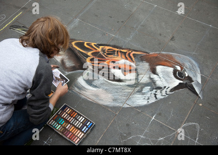 Kreidevogelzeichnungen auf Gehsteig-Oberflächen, Kreidekunst auf Gehwegen, Schablonen, Pastellkunst, Künstler, Gemälde; The James William Carling International Pavement Art Competition, Bold Street Festival, Liverpool, UK 2011 Stockfoto