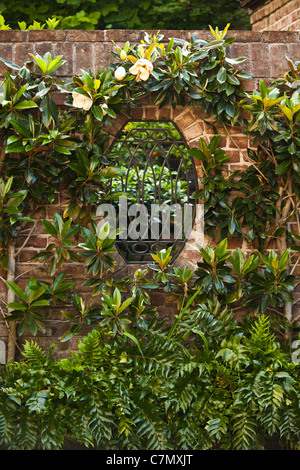 Gartentor in einen historischen Charleston Stil zu Hause in Charleston, SC. Stockfoto