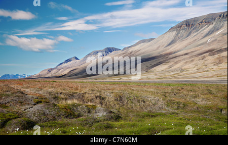 Adventdalen außerhalb von Longyearbyen, Svalbard, im Sommer Stockfoto