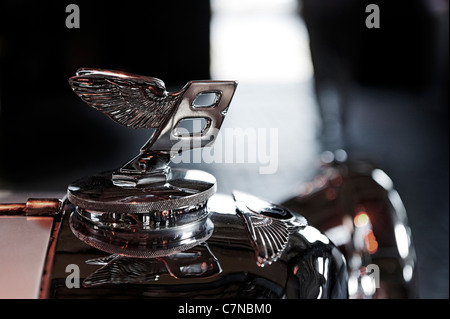 Bentley Kühlerfigur, Logo, Oldtimer, Classic Rallye von Hamburg nach Berlin, Fischmarkt, Hamburg, Deutschland, Europa Stockfoto