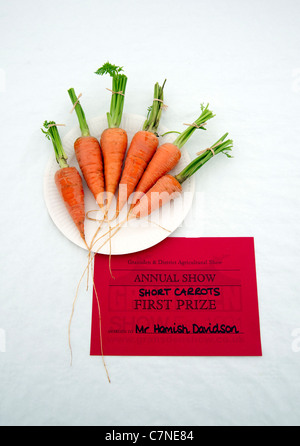 Karotten zu gewinnen-auf dem Display an einer Landwirtschaftsausstellung in Gransden Cambridgeshire England Großbritannien produzieren Stockfoto