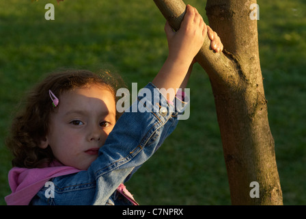 Mädchen (5-6) spähen aus hinter Baum, Lächeln, Porträt Stockfoto