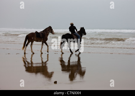 Zwei Pferde am Strand in Essaouira, Marokko Stockfoto