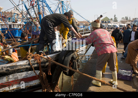 Stapelbaren Kunststoffkisten Fische auf dem Kai in Essaouira, Marokko Stockfoto