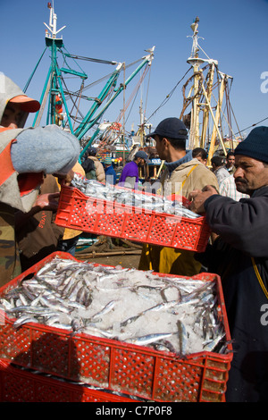 Stapelbaren Kunststoffkisten Fische auf dem Kai in Essaouira, Marokko Stockfoto