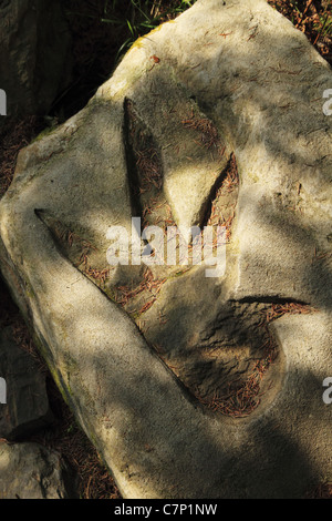 Eine künstliche Dinosaurier-Fußabdruck in Co Cork, Republik Irland. Stockfoto