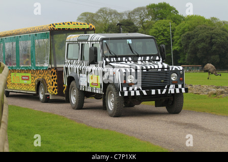 Eine Landrover-Safari-Fahrzeug in Zebra print Markierungen Fota Wildlife Park, Co Cork, Rep of Ireland. Stockfoto