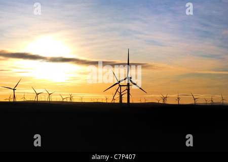 Sonnenaufgang am Windpark Whitelee, die von Scottish Power Erneuerbare Energien betrieben wird, und ist der größte in Deutschland, am Stadtrand von Glasgow, Schottland. Stockfoto