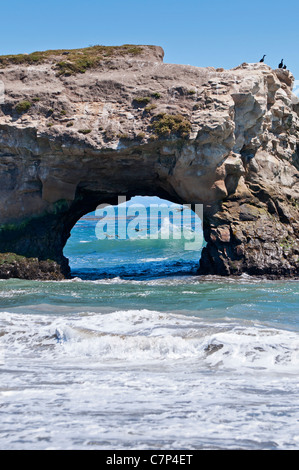 Natural Bridges State Beach in Santa Cruz, Kalifornien. Stockfoto