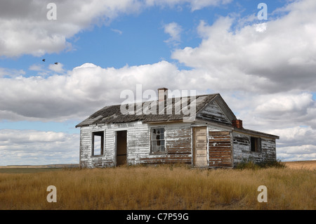 Ein altes verlassenes Bauernhaus in den kanadischen Badlands. Stockfoto