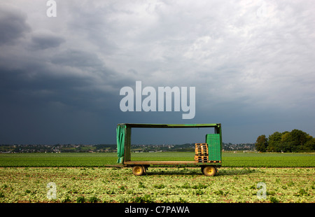 Geernteten Feld, dunkel bewölkter Himmel, landwirtschaftliche Anhänger, leer, mit offenen Seitenwänden sieht aus wie ein Bilderrahmen für die Landschaft. Stockfoto