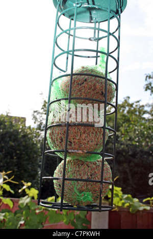 Bird feeder Stockfoto