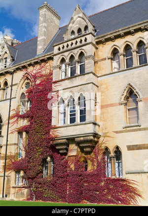 Efeu an den Wänden der Kirche Christ College in Oxford im Herbst 9 Stockfoto