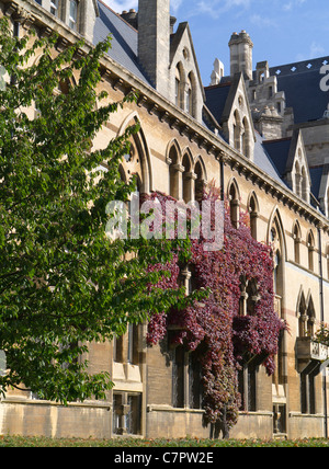 Efeu an den Wänden der Kirche Christ College in Oxford im Herbst 12 Stockfoto