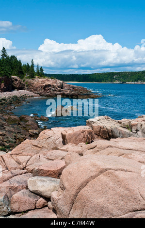 Klippen neben Thunder Hole Acadia Nationalpark Maine Stockfoto