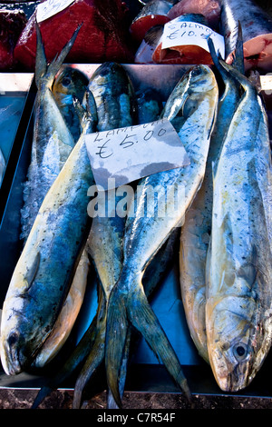 Lampuki an die Fischer Markt, Marsaxlokk, Malta Stockfoto