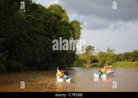 Bootsfahrt auf dem Kinabatangan Fluss, Sabah, Borneo, Malaysia Stockfoto