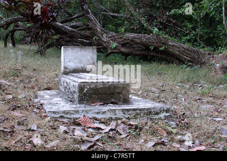 Gräber auf dem französischen Friedhof der alten Panamakanalzone. Stockfoto