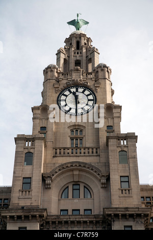 Die Uhr und die Leber Vogel auf der Royal Liver Building, Pier Head, Liverpool Stockfoto