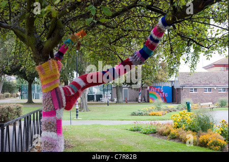 Baum, das Garn wurde bombardiert, in einem Park in southsea Stockfoto