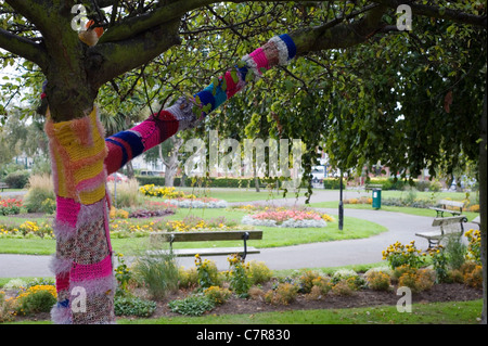 Baum, das Garn wurde bombardiert, in einem Park in southsea Stockfoto