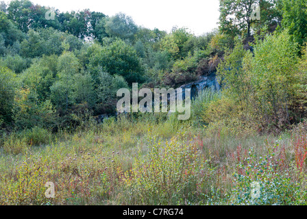 Die Doulton Claypit in Dudley, West Midlands Stockfoto