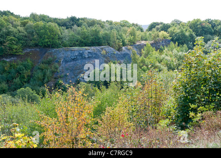 Die Doulton Claypit in Dudley, West Midlands Stockfoto