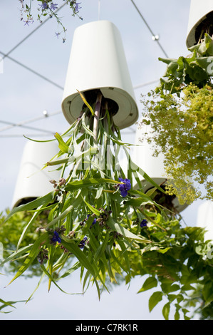 Entschuldigen Sie mich, während ich den Himmel konzeptionelle Garten 2011 Hampton Court Palace Flower Show, UK küssen Stockfoto