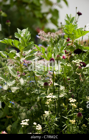 Das Potenzial fest kleine Garten in 2011 Hampton Court Palace Flower Show, UK Stockfoto