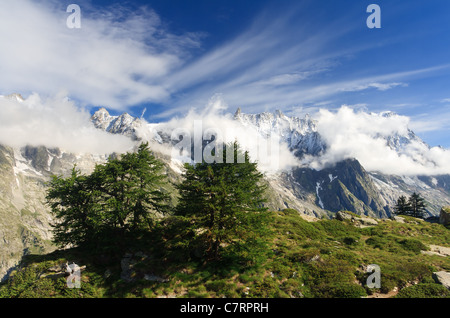 Sommerlandschaft des Grandes Jorasses - Mont-Blanc-Massiv von Mont Chetif, Cormayeur, Italien Stockfoto