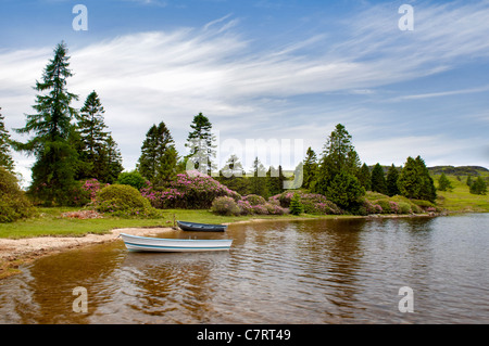 Entfernten Loch Ordie, nr Dunkeld, Schottland, aufgenommen im Sommer mit zwei alten Ruderboot in den Vordergrund und blühenden Rhododendren Stockfoto