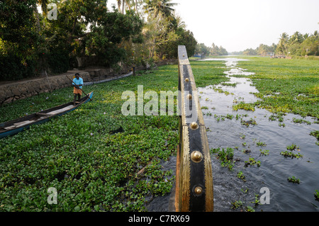Reisboot und Arbeitskanu kämpfen durch die invasive Wasserhyazinthe (eichhornia crassipes) auf dem Backwaters in der Nähe von Cochin, Kerala, Indien Stockfoto
