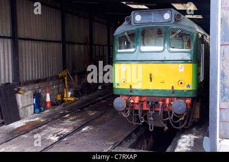 Dartmouth Steam Railway von Paignton, Kingswear (für Dartmouth) - eine touristische Eisenbahn in Devon, England. Diesel Lok auf Schuppen. Stockfoto