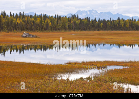 ALASKA, USA - Feuchtgebiete in der Nähe von Petersville Straße. Stockfoto