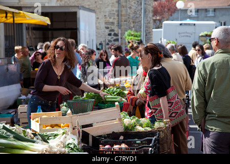 Esperaza, S Aude, Frankreich Stockfoto