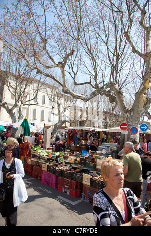 Esperaza, S Aude, Frankreich Stockfoto