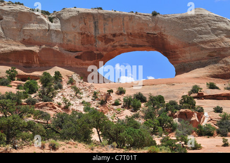 Wilson Arch, Monticello, Utah Stockfoto