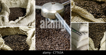 Kaffeebohne collage Stockfoto