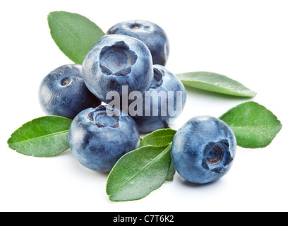 Heidelbeeren mit Blättern auf weißem Hintergrund. Stockfoto