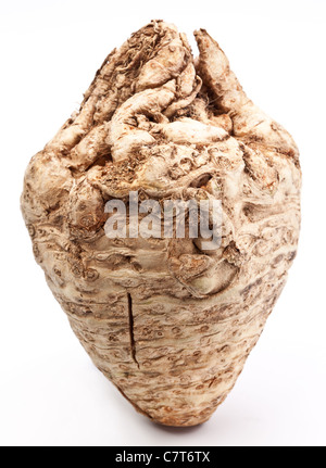 Knollensellerie sieht aus wie ein Herz isoliert auf einem weißen Hintergrund. Stockfoto