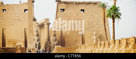 Panoramablick über den ersten Pylon im Luxor-Tempel, Luxor, Ägypten Stockfoto