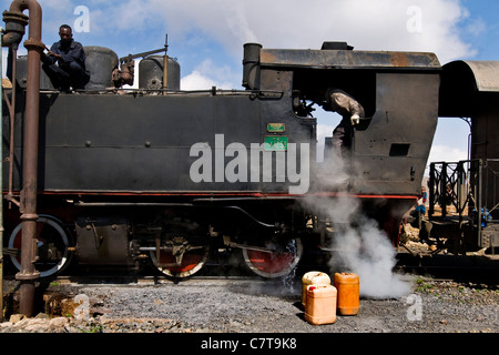 Afrika, Eritrea, Eisenbahn von Asmara nach Massawa Stockfoto