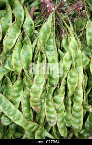 Bohnen zum Verkauf auf einem indonesischen Markt stinken Stockfoto