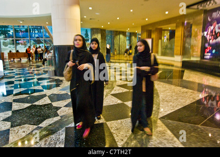 Dubai, Vereinigte Arabische Emirate, Mall of the Emirates Stockfoto