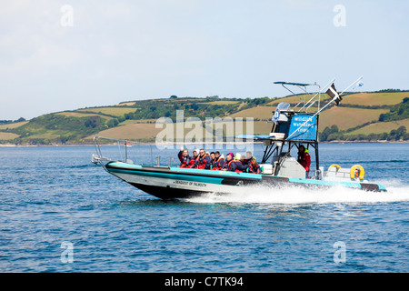 Eine Reise von Orca Meer Safaris von Falmouth, Cornwall zur Wildbeobachtung Stockfoto