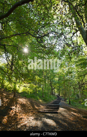 David Nashs "Siebzig ein Schritte" Installation in Yorkshire Sculpture Park, Wakefield, West Yorkshire, England, Großbritannien Stockfoto