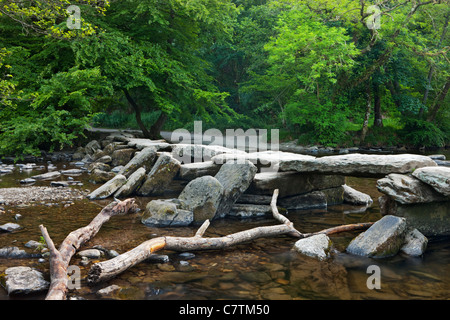 Tarr Schritte, Exmoor, Somerset Stockfoto