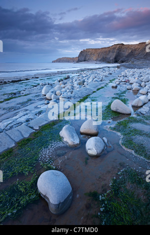 Fels-Pools am Kilve Strand, Somerset, England. Sommer (Juni) 2011. Stockfoto