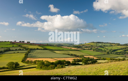 Sommer-Hügellandschaft in der Nähe von Stockleigh Pomeroy, Devon, England. Sommer (Juni) 2011. Stockfoto